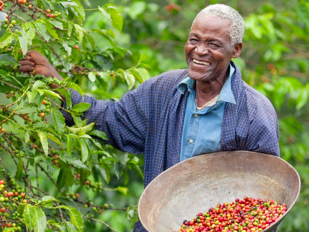 fairtrade